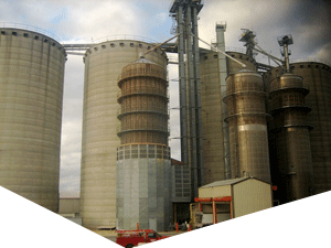 手机轰在线轰炸免费