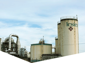 在线电话轰炸测试